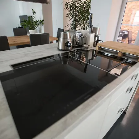 Apartment Designer Apartment Loft Augarten Graz