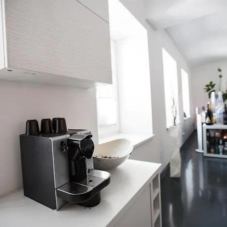 Apartment Designer Apartment Loft Augarten Graz